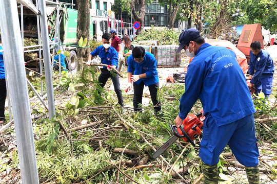 Quận Hai Bà Trưng đẩy nhanh tiến độ dọn cây xanh bị đổ gãy