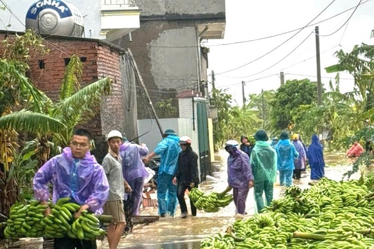 Kết nối hỗ trợ bà con vùng lũ tiêu thụ nông sản