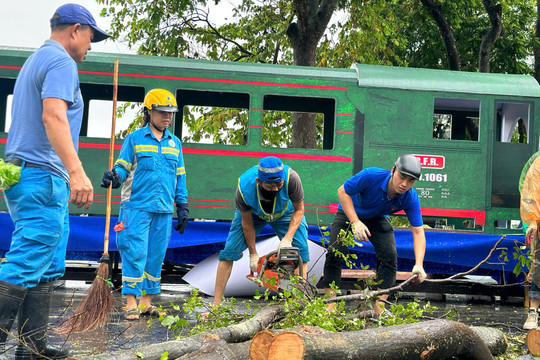 Công nhân và thanh niên Hoàn Kiếm dốc sức xử lý cây gãy, đổ