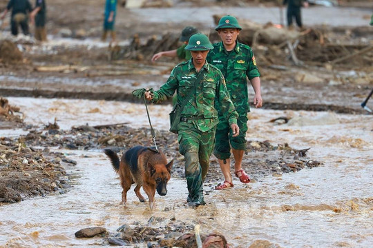 Số người chết, mất tích do bão số 3 và mưa lũ tăng lên 336 người