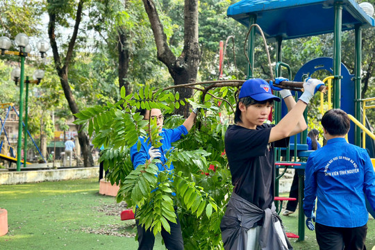 Quận Cầu Giấy huy động tối đa nhân lực khắc phục hậu quả bão lũ