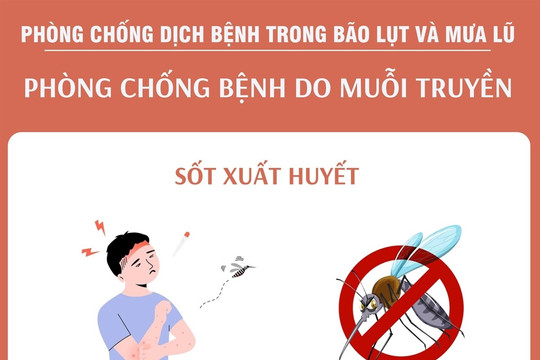 Phòng chống bệnh do muỗi truyền