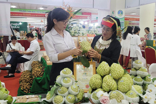 Tìm đầu ra bền vững cho nông sản, đặc sản địa phương: Tăng kết nối, xúc tiến thương mại