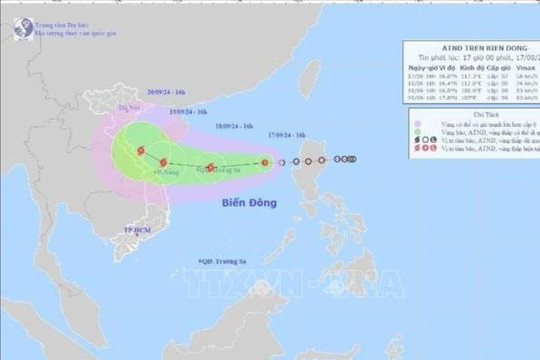 Chủ động ứng phó áp thấp nhiệt đới có khả năng mạnh lên thành bão