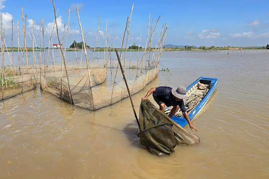 Mực nước sông phía Nam tỉnh Đồng Tháp đang lên nhanh, đỉnh lũ có thể cao hơn năm 2023 đến 0,4m