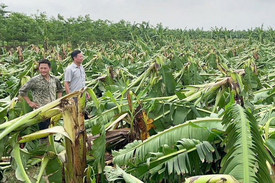 Tin tức đặc biệt trên báo in Hànộimới ngày 20-9-2024