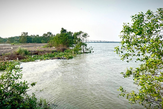 TP Hồ Chí Minh: Khẩn trương, sẵn sàng ứng phó với bão, lũ