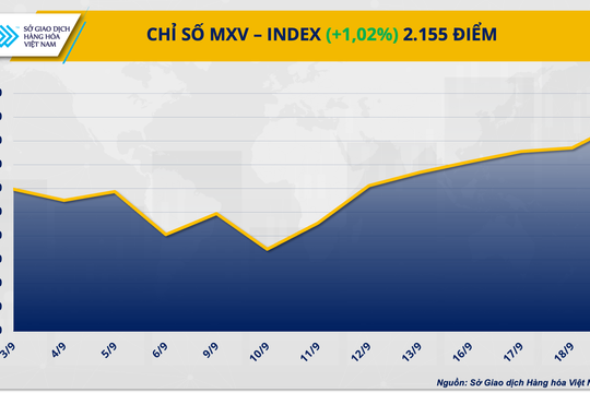 MXV-Index nối dài chuỗi tăng sang phiên thứ 7