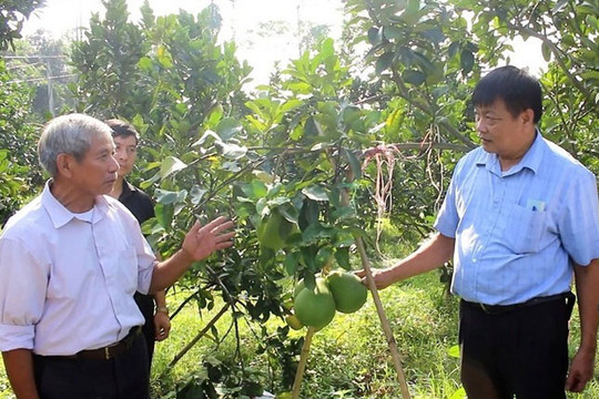 Người cao tuổi trên địa bàn Thủ đô: Tuổi già nhưng chí không già