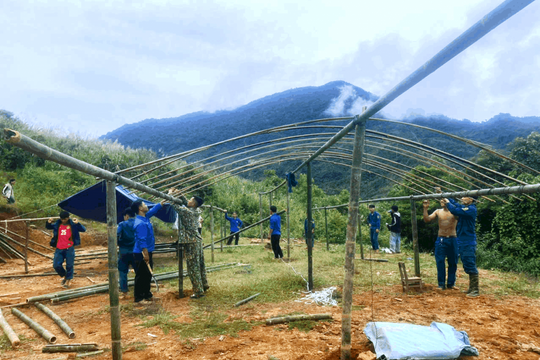 Quảng Nam đang khẩn trương tái định cư cho người dân vùng sạt lở