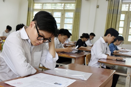 Lịch thi chọn học sinh giỏi quốc gia THPT năm học 2024 - 2025