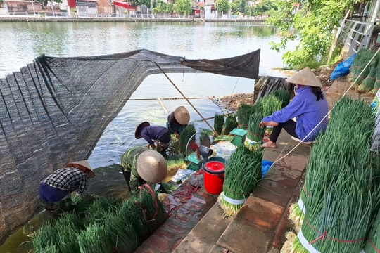 Huyện Phúc Thọ và hành trình phát triển nông thôn sinh thái, thông minh, bền vững