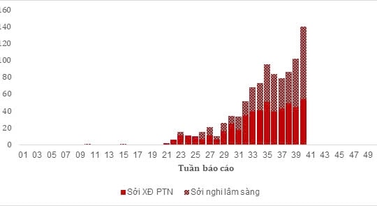 Thành phố Hồ Chí Minh: Số ca nhiễm sởi, sốt xuất huyết và tay chân miệng vẫn tăng