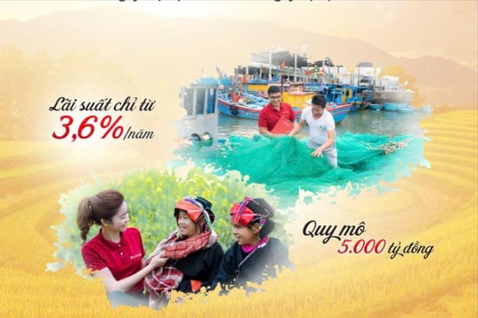 Agribank ưu đãi lãi vay đối với khách hàng bị thiệt hại do bão số 3 và lũ lụt sau bão