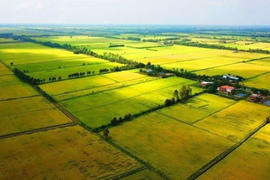 Thủ tướng phê bình 13 tỉnh chậm ban hành các văn bản quy định chi tiết, hướng dẫn thi hành Luật Đất đai