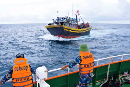 Tỉnh Bà Rịa - Vũng Tàu: Vừa phòng, chống IUU, vừa hỗ trợ bảo đảm sinh kế cho ngư dân