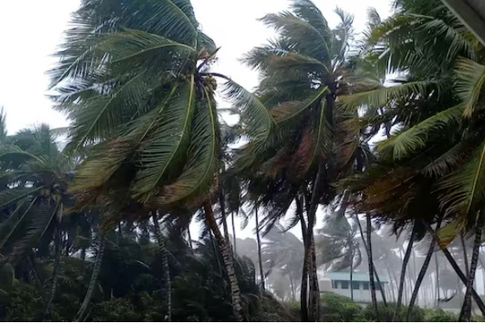 Bão nhiệt đới Nadine quét qua Belize, gây mưa ở Yucatan