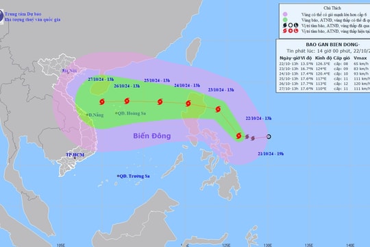 Không khí lạnh tràn về Hà Nội, bão Trami hướng vào miền Trung