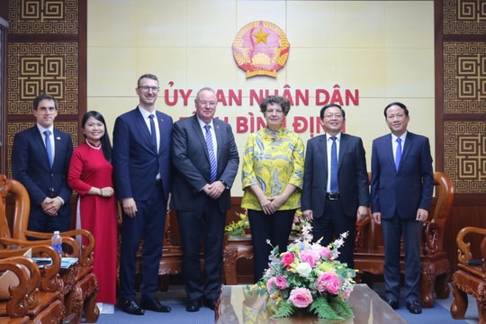 Bình Định đẩy mạnh triển khai dự án điện gió ngoài khơi