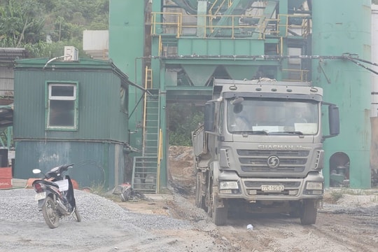 Bình Định: Trạm trộn bê tông chưa đủ điều kiện vẫn hoạt động