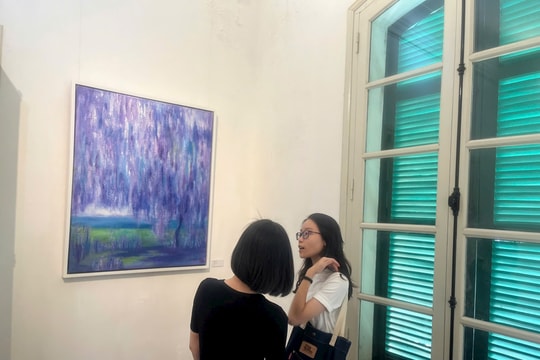 Phục hồi môi trường xanh cùng Davines Art Series 2024