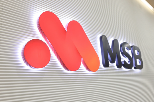 Nợ có khả năng mất vốn của MSB đạt ngưỡng 3.000 tỷ đồng