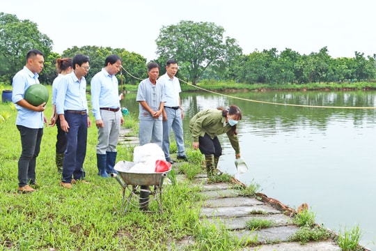 Kinh tế tuần hoàn - hướng đi bền vững cho nuôi trồng thủy sản