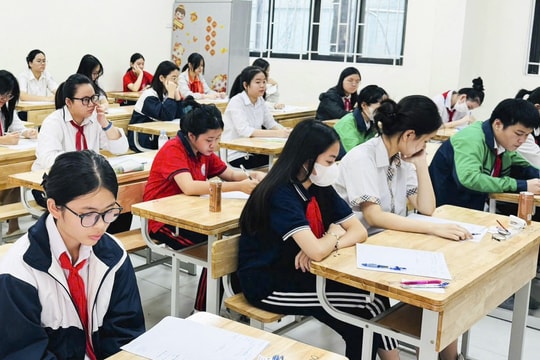 Hơn 900 học sinh quận Ba Đình tham dự kỳ thi chọn học sinh giỏi các môn văn hóa lớp 9