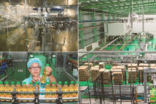 Đầu tư công nghệ để sản xuất xanh: Nhiều doanh nghiệp Việt tạo đột phá