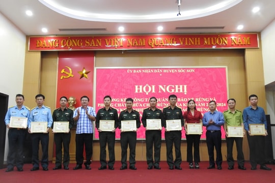 Huyện Sóc Sơn Tập trung bảo vệ, phòng chống cháy rừng