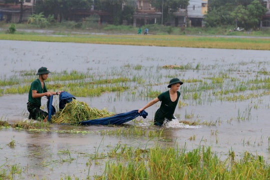 Thi trắc nghiệm trực tuyến về lịch sử Quân đội nhân dân Việt Nam