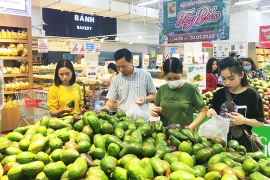 Hà Nội: Tạo môi trường kinh doanh trái cây an toàn, chất lượng