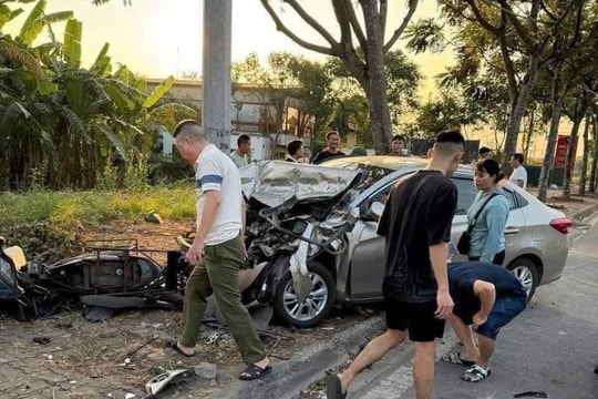 Bắt giữ sinh viên "phê" ma túy trộm cắp ô tô và đánh chết người