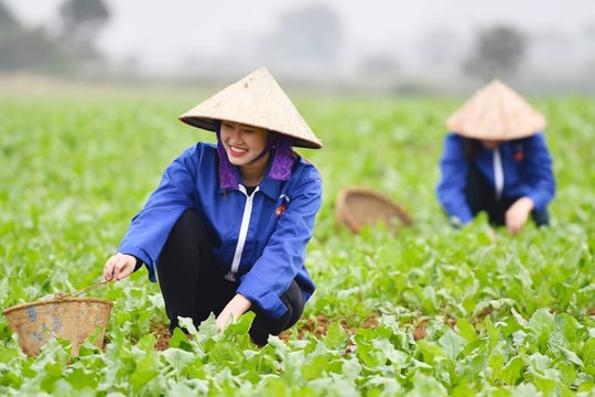 Sáng nay, Chủ tịch UBND TP đối thoại với nông dân Thủ đô