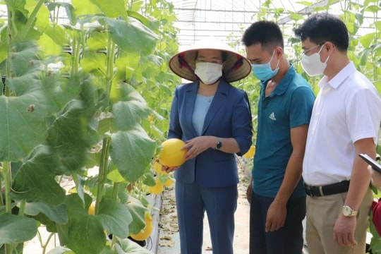 Sáng nay (29-11), Chủ tịch UBND thành phố đối thoại với nông dân Thủ đô