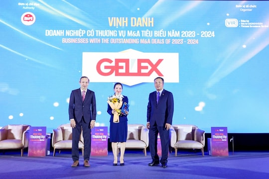 GELEX là một trong 15 doanh nghiệp có thương vụ M&A tiêu biểu 2023-2024