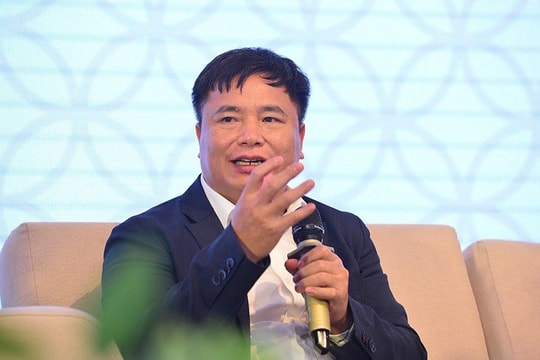 Chuyên gia phân tích vai trò dự án du lịch tại Vịnh Trung tâm Cát Bà