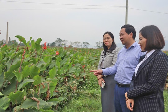 Minh Quang cán đích nông thôn mới nâng cao