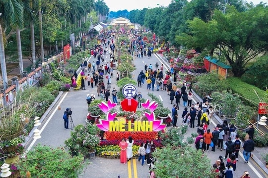 Festival hoa Mê Linh được tổ chức từ 26 đến 28-12