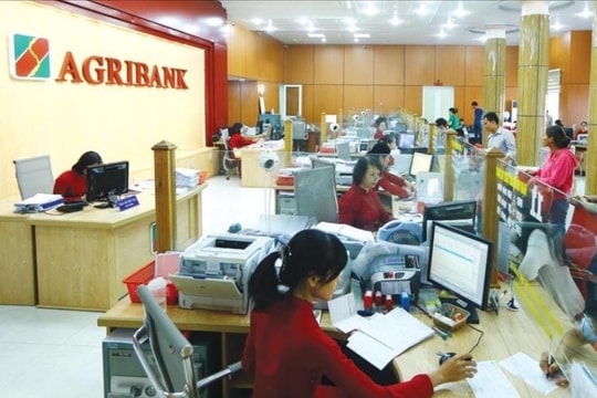 Khai trương Phòng giao dịch Vạn Điểm: Bước tiến mới của Agribank Chi nhánh Thường Tín