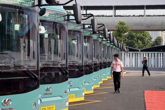 TP Hồ Chí Minh: Khai trương 17 tuyến buýt điện kết nối metro số 1 (Bến Thành - Suối Tiên)