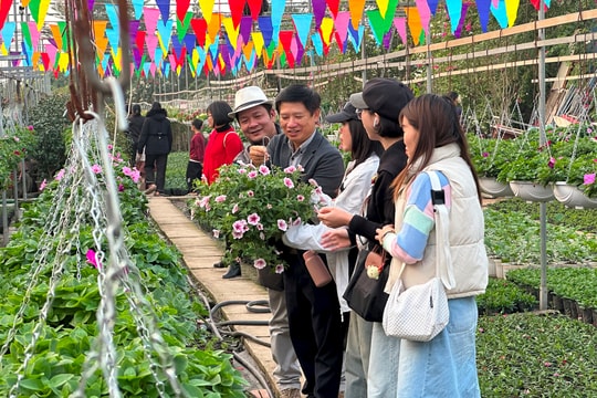 Về Tích Giang trải nghiệm du lịch nông thôn