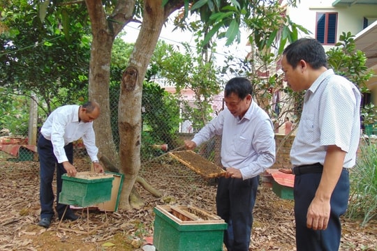 Xây dựng chuỗi liên kết sản xuất và tiêu thụ sản phẩm nông nghiệp bền vững