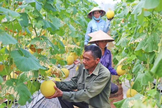 Kinh tế tuần hoàn trong nông nghiệp: Hướng tới gia tăng giá trị và bảo vệ môi trường