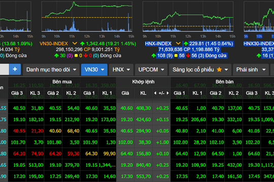 Cổ phiếu đua tăng giá, VN-Index “đội” gần 14 điểm