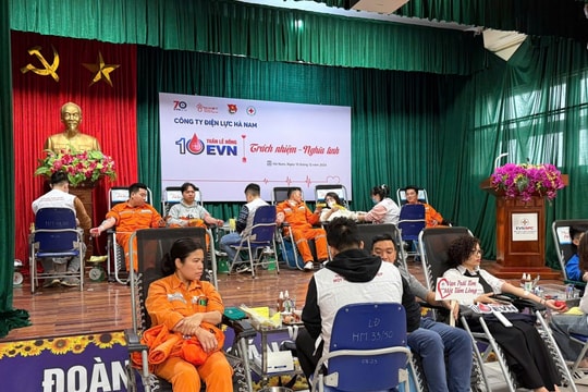 Hơn 140 tình nguyện viên Công ty Điện lực Hà Nam hưởng ứng Tuần lễ hồng EVN