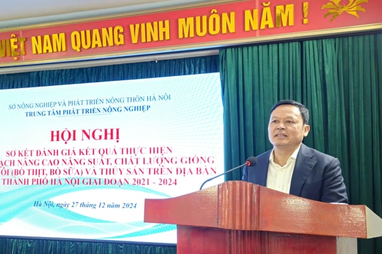 Tỷ trọng chăn nuôi chiếm hơn 53% giá trị GDP sản xuất nông nghiệp của Hà Nội