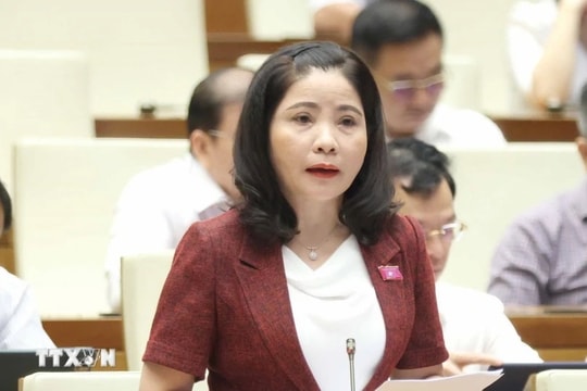 Nghị quyết của Ủy ban Thường vụ Quốc hội về công tác cán bộ