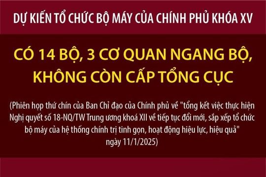 Dự kiến tổ chức bộ máy của Chính phủ khóa XV