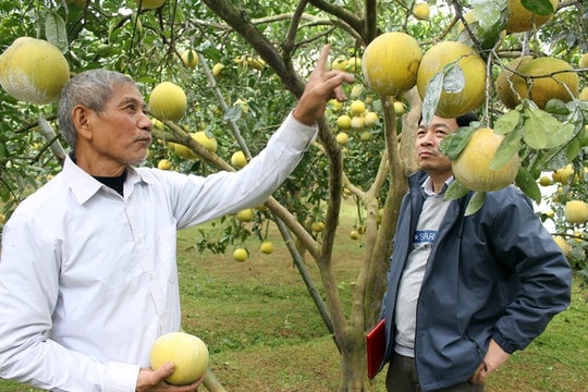 Báo chí đồng hành, đóng góp vào sự phát triển nông nghiệp Thủ đô